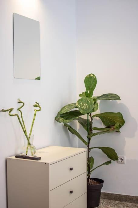 Botanical Διαμέρισμα Αθήνα Εξωτερικό φωτογραφία