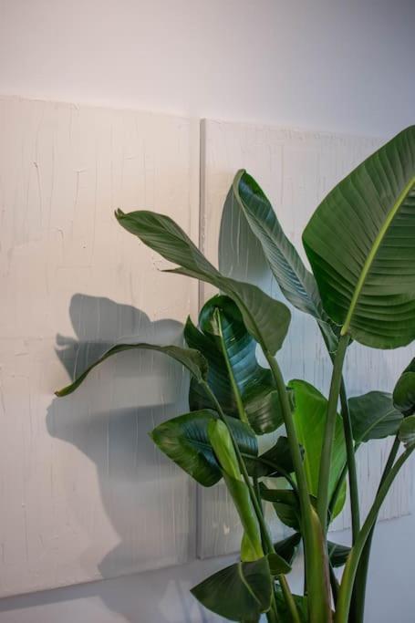 Botanical Διαμέρισμα Αθήνα Εξωτερικό φωτογραφία